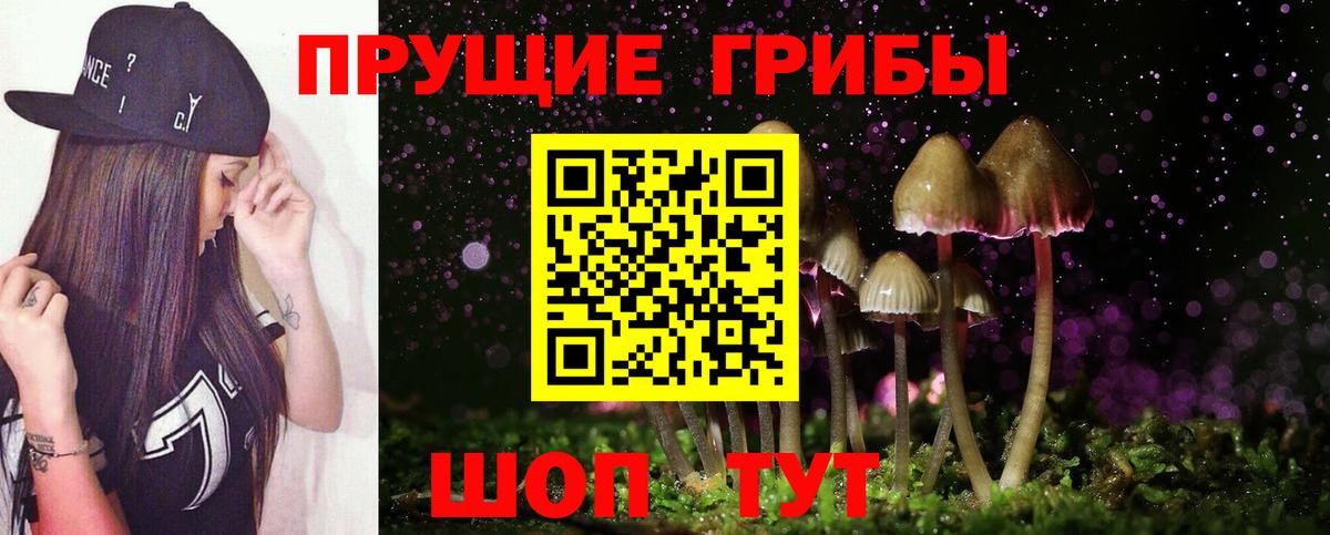 Алейск  Галлюциногенные грибы Psilocybine cubensis  Псилоцибиновые грибы мухоморы  Вход с VPN 